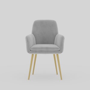 Living Room Armchair